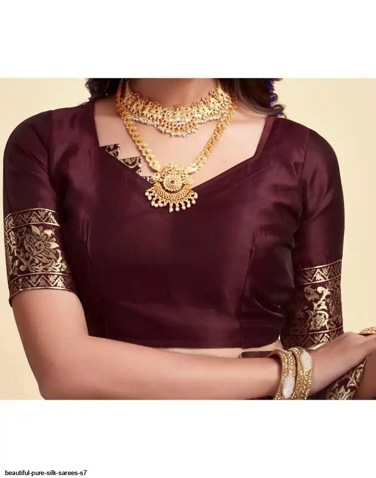 Beautiful Pure Silk Saree I Brown
